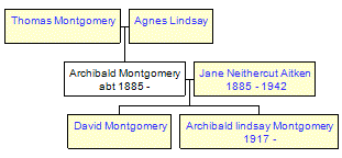 Mini tree diagram