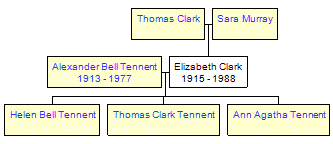 Mini tree diagram