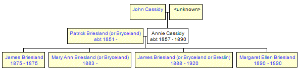 Mini tree diagram