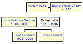 Mini tree diagram