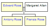 Mini tree diagram