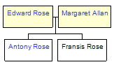 Mini tree diagram