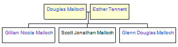 Mini tree diagram