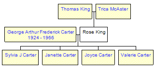 Mini tree diagram