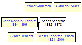 Mini tree diagram