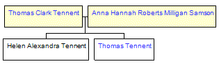 Mini tree diagram