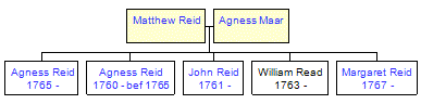 Mini tree diagram