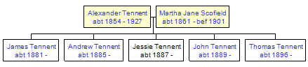 Mini tree diagram