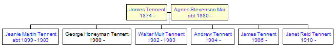 Mini tree diagram