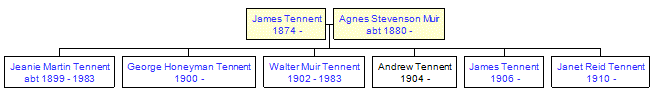 Mini tree diagram