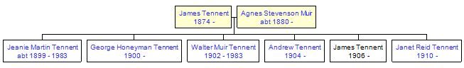 Mini tree diagram