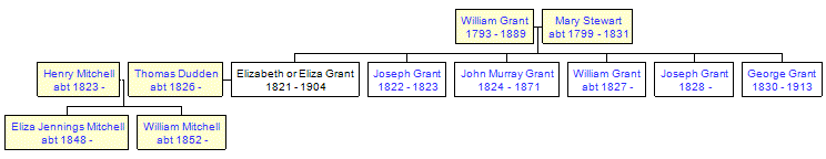 Mini tree diagram