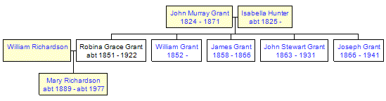 Mini tree diagram