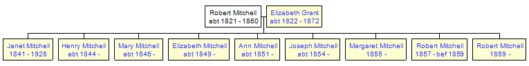 Mini tree diagram