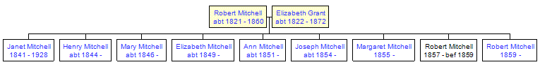 Mini tree diagram