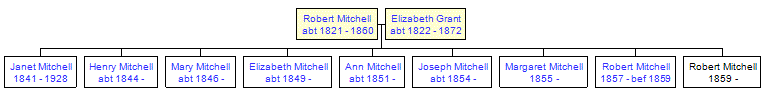 Mini tree diagram