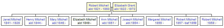 Mini tree diagram