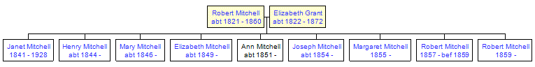 Mini tree diagram