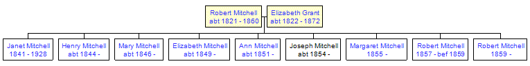 Mini tree diagram