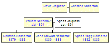 Mini tree diagram