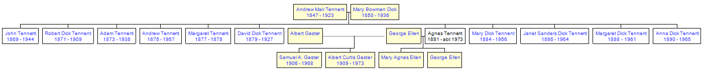 Mini tree diagram