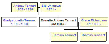 Mini tree diagram