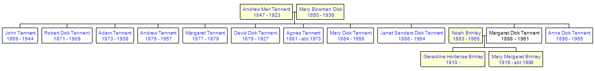 Mini tree diagram