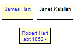 Mini tree diagram