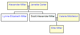 Mini tree diagram