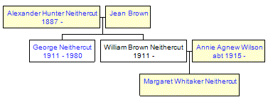 Mini tree diagram