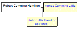 Mini tree diagram