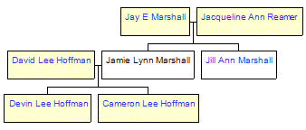 Mini tree diagram