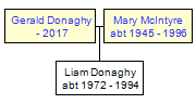 Mini tree diagram