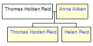 Mini tree diagram