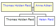 Mini tree diagram