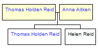 Mini tree diagram