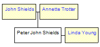 Mini tree diagram