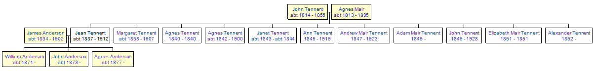 Mini tree diagram