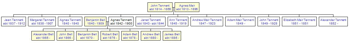 Mini tree diagram