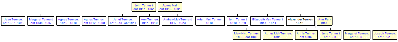 Mini tree diagram