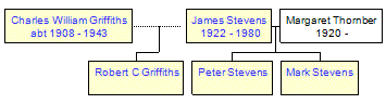 Mini tree diagram