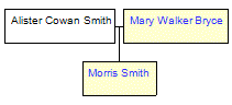 Mini tree diagram