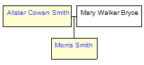 Mini tree diagram