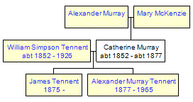 Mini tree diagram