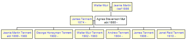 Mini tree diagram