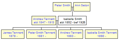 Mini tree diagram