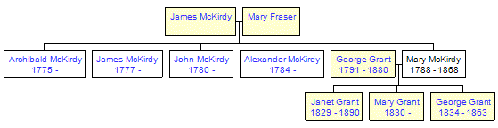 Mini tree diagram